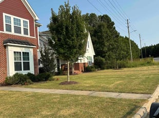 Carole S.'s Lawn Mowing Service service result