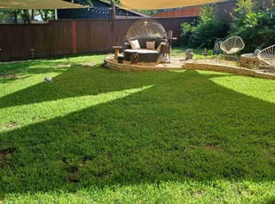 Shalee G.'s Lawn Mowing service result
