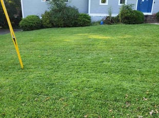 Brittany M.'s Lawn Maintenance service result
