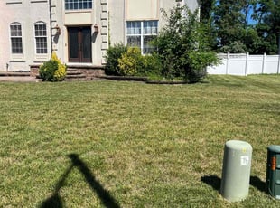 Georgia C.'s Grass Cutting service result