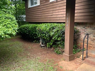 Bush Trimming by Jeffrey Curtis for Ken W. in Douglasville, GA