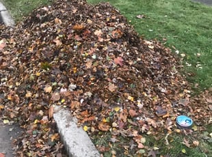 Cleanups by Michael Kilton for Alex G. in Parma Heights, OH