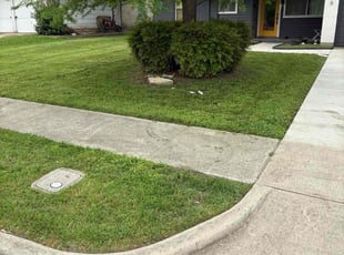 Weeding by James Littlejohn for Leo L. in Richardson, TX
