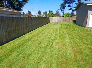 Robin C.'s Grass Cutting service result