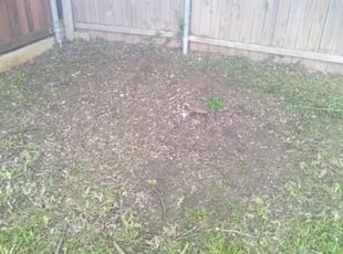 Cleanups by Reginald Jackson for Joshua J. in Dallas, TX