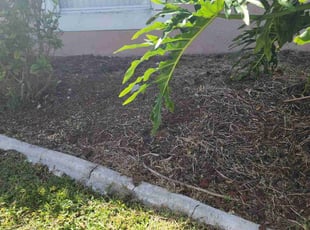 Weeding by Tammy Becker for James H. in Melbourne, FL