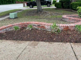 Weeding by Severa Rosie Lara for Dennis, G. in Arlington, TX