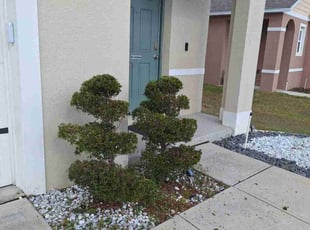 Bush Trimming by Angel Vazquez for Carl S. in Davenport, FL