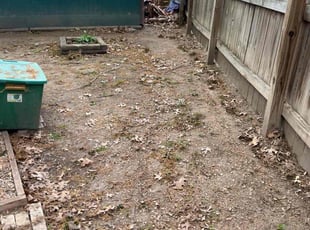 Leaf Removal by Paul Dalrymple for Tonya W. in New Braunfels, TX