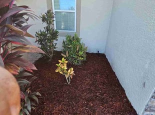 Mulching by Gabriel Sandoval for Jovan P. in Orlando, FL