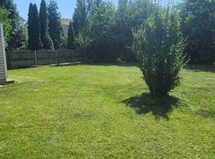 Phil H.'s Lawn Mowing service result