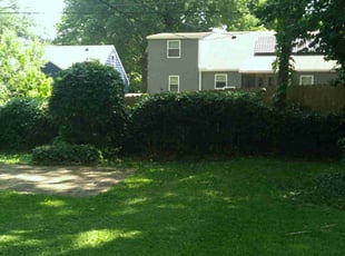 Bush Trimming by Julio Almestica for Nellie M. M. in Kansas City, MO