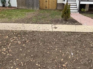 Leaf Removal by Arthur Haskins for Jake D. in Richmond, VA