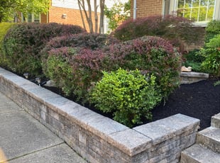 Bush Trimming by Carlos Portillo for Tracey W. in Burke, VA