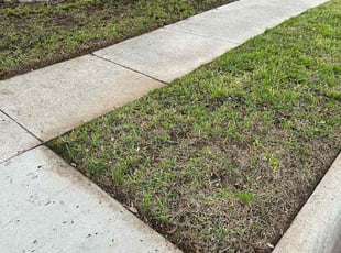 Leaf Removal by Abel Baeza for Drew I. in Plan, TX