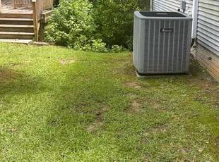 CHRISTINA T.'s Bush Trimming service result