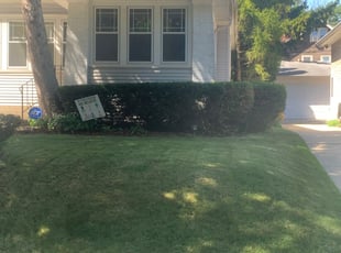 Bush Trimming by Michael Williams for Megan K. in Shorewood, WI