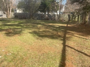 Leaf Removal by Eric Brock for Andrew M. in Charlotte, NC