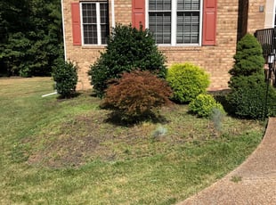Landscaping by Brandon Trevillian for Stephanie T. in Chesterfield, VA