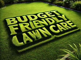 Sophie C.'s Lawn Care service result