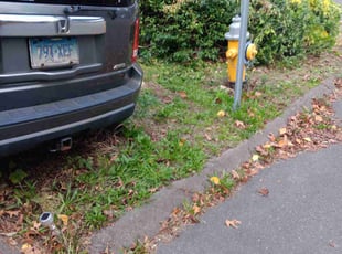 Bush Trimming by Michael Albert for Naveed S. in Derby, CT