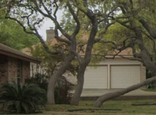 Leaf Removal by Michael Learned for Jd J. in San Antonio, TX