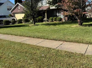 GERTA C.'s Lawn Mowing service result