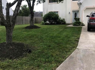 Carol O.'s Yard Cutting service result
