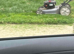 Cleanups by Edward Wilder for Christopher C. in Greenbelt, MD