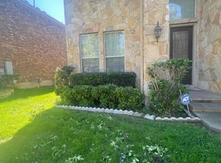 Bush Trimming by Noah Fiechtner for Tania B. in Austin, TX