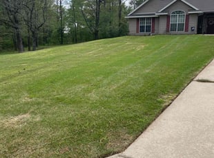 Carlton S.'s Lawn Service service result