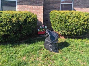 Bush Trimming by Gerald Pope for Kathleen T. in Springfield, MO