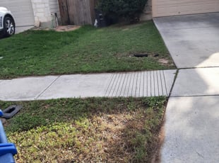Leaf Removal by Gregory Kluetz for Brittany P. in San Antonio, TX
