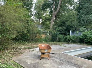 Robert S.'s Cleanups service result