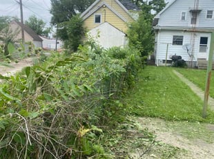 Bush Trimming by Phillip Crews for Paul S. in Toledo, OH