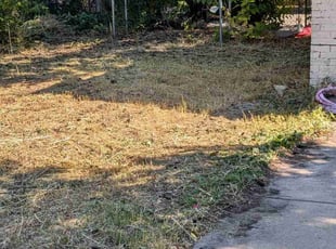 Cleanups by Scott Steigerwald for John H. in Denver, CO