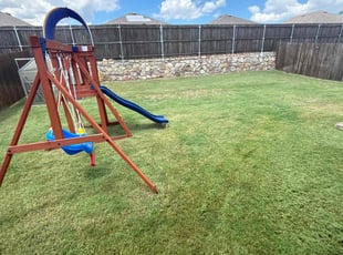 Carmen G.'s Lawn Care service result