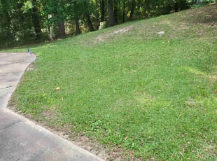 Alexis A.'s Lawn Mowing Service service result