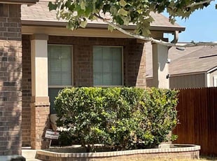 Bush Trimming by Juan Vazquez for LeTrell T. in San Antonio, TX