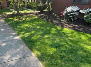 Matt K.'s Lawn Care service result