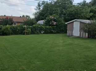 Gregory S.'s Lawn Mowing Service service result