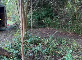 Cleanups by Lakeith Carlyle for Oscar F. in Norfolk, VA