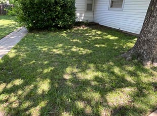 Cleanups by Lance Holtman for Grace H. in Yukon, OK