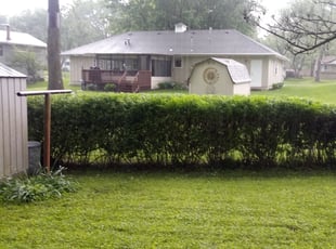 Bush Trimming by Nicole Gorman for Wilma C. in Independence, MO