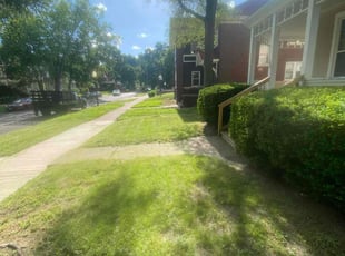 Angela D.'s Lawn Care service result