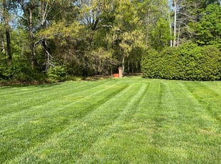 Frank T.'s Lawn Care service result