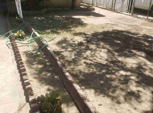 Judy J.'s Leaf Removal service result