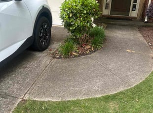 Bush Trimming by Chrishun Webber for Kerri T. in Marietta, GA