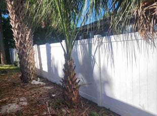 Bush Trimming by Tammy Becker for Ariane S. in Cocoa, FL