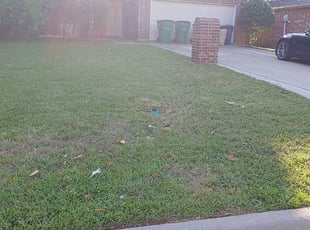 Bush Trimming by Matthew Vella for Karl R. in McKinney, TX